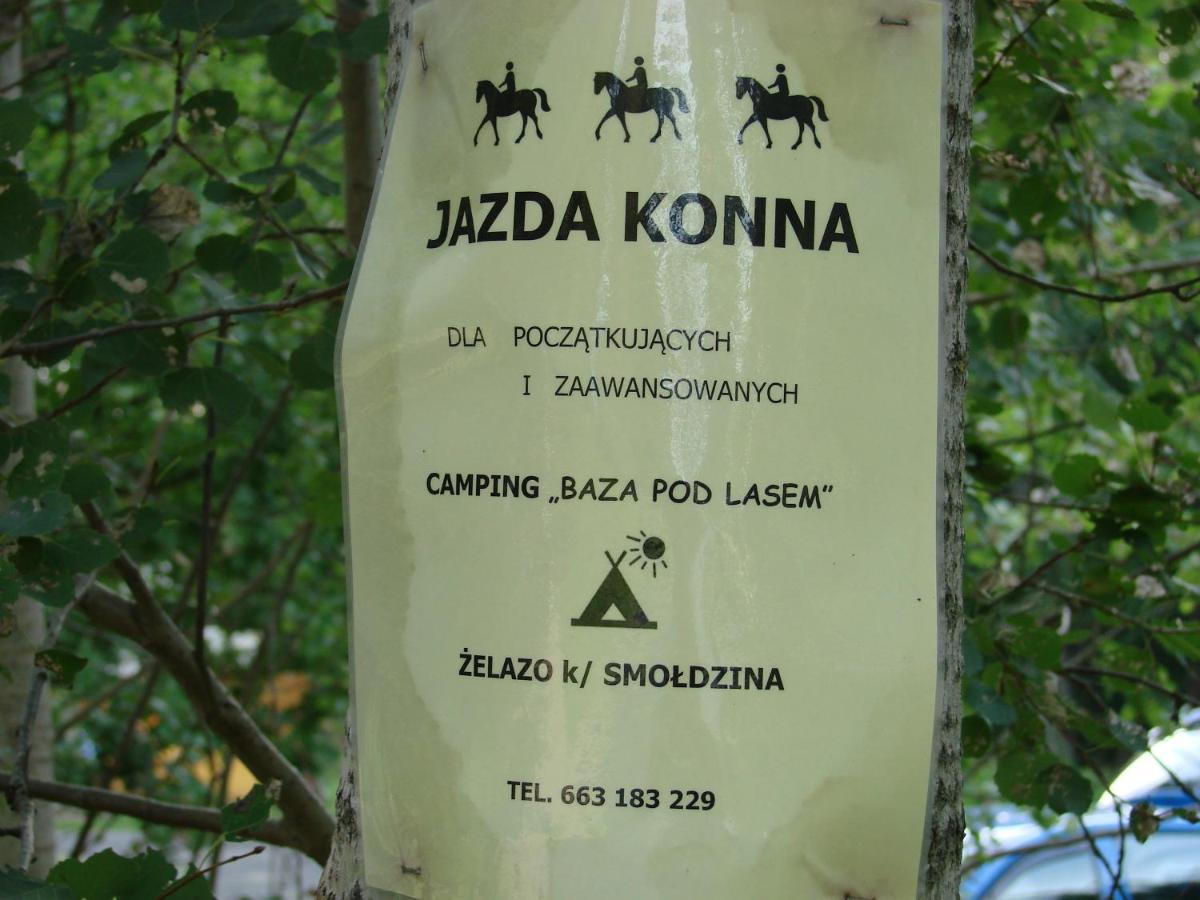 Agroturystyka Pod Kogutkiem Czysta Εξωτερικό φωτογραφία